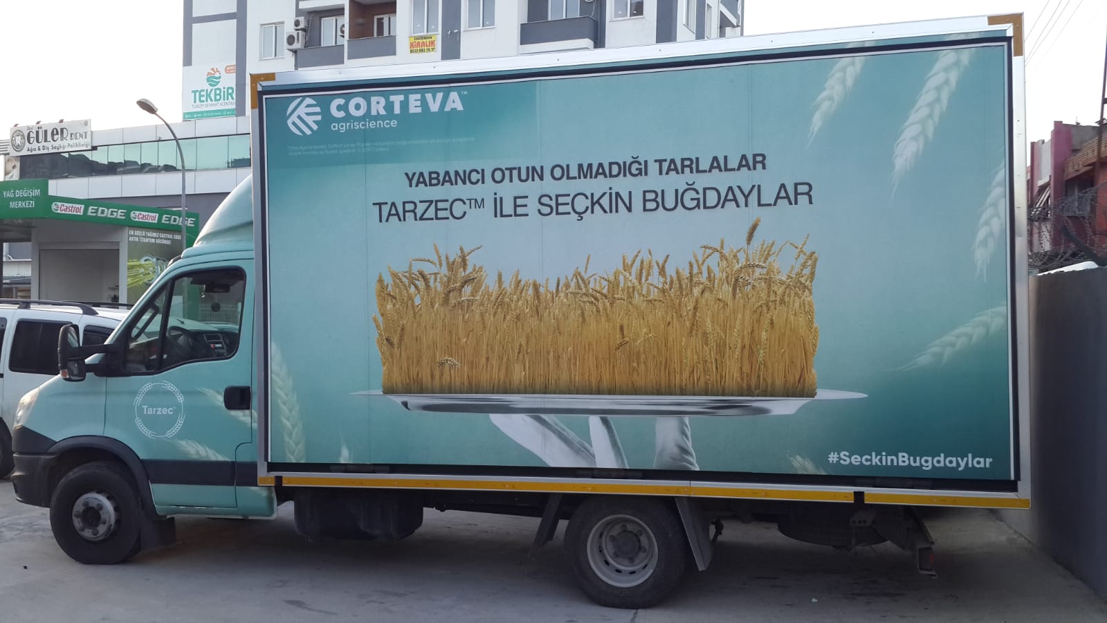 Corteva - Sekin Budaylar 